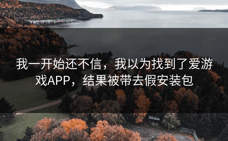 我一开始还不信，我以为找到了爱游戏APP，结果被带去假安装包