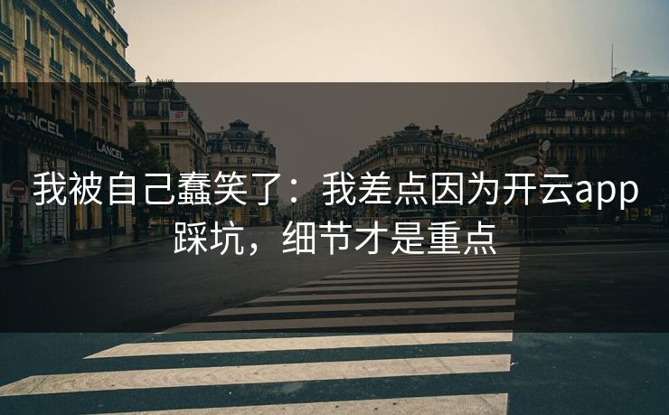 我被自己蠢笑了：我差点因为开云app踩坑，细节才是重点