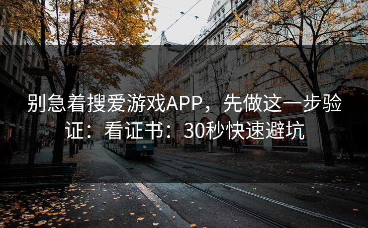 别急着搜爱游戏APP，先做这一步验证：看证书：30秒快速避坑