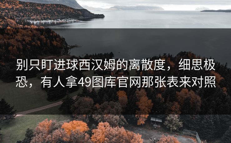 别只盯进球西汉姆的离散度，细思极恐，有人拿49图库官网那张表来对照