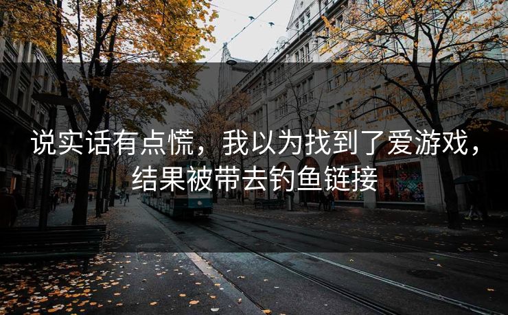 说实话有点慌，我以为找到了爱游戏，结果被带去钓鱼链接